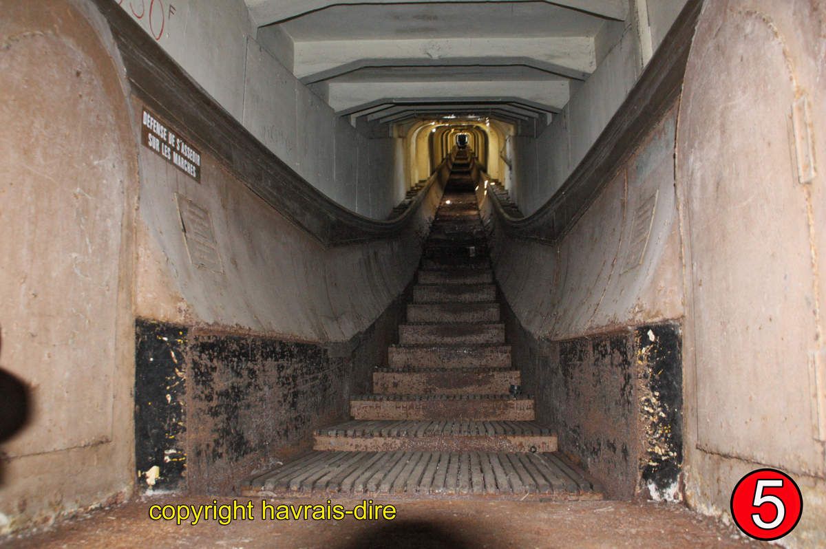 escalier roulant le havre