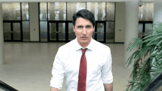 escalier roulant trudeau