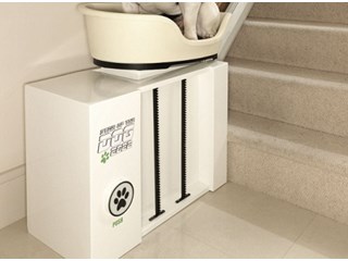 monte escalier chien